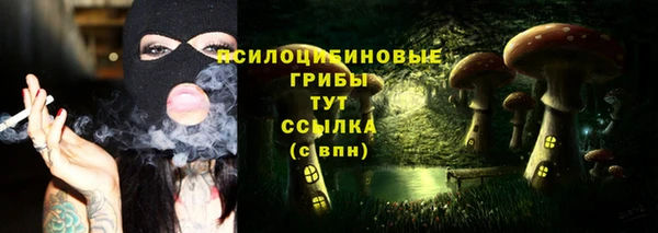 ECSTASY Алексеевка