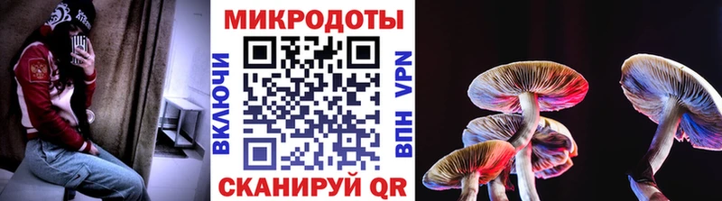 Галлюциногенные грибы Psilocybine cubensis  Десногорск 