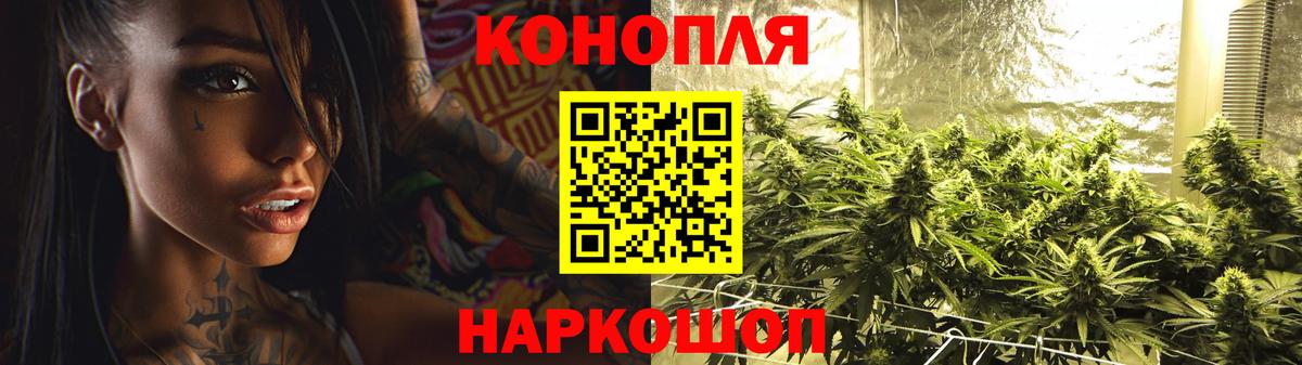 Бошки Шишки MAZAR Десногорск